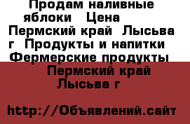 Продам наливные яблоки › Цена ­ 100 - Пермский край, Лысьва г. Продукты и напитки » Фермерские продукты   . Пермский край,Лысьва г.